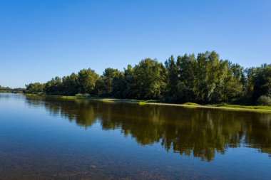 Loire Nehri 'nin durgun suları, Fransa' nın orta kesiminde Imphy yakınlarında huzurlu bir doğal manzara yaratan çimenli bankalar ve berrak yaz ışıklarıyla canlı mavi bir gökyüzü altında yoğun yeşil ağaçlardan oluşan bir çizgiyi yansıtır. Huzurlu manzara, yemyeşil yaprakları vurguluyor.