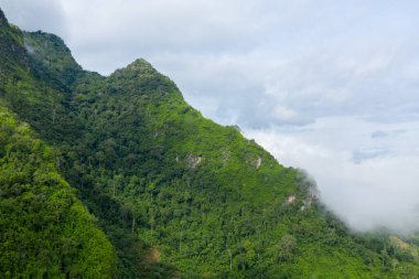 Yoğun tropikal orman, kuzey Laos 'taki dağ sırtı boyunca yükselen sis nedeniyle dik yamaçları kaplıyor. Manzara canlı bir yeşilliğe ve yumuşak, bulutlu bir gökyüzüne sahip. Huzurlu bir doğal manzara yaratıyor..