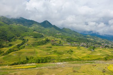 Güneş ışığında altın tonlarında pirinç terasları ve Vietnam 'ın Sapa kentindeki kırsal bir köyün altındaki yuvarlak tepeler boyunca uzanan yeşil alanlar. Arkaplanda, dramatik bulutlarla dolu bir gökyüzünün altında yemyeşil dağlar yükselir..
