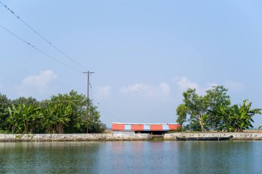 Kerala, Alappuzha 'da sakin suların yanında kırmızı ve mavi çatılı küçük bir ev duruyor. Bereketli muz ağaçları, yeşil yapraklar, ve ahşap bir kano. Açık mavi gökyüzünün altındaki taş seti..