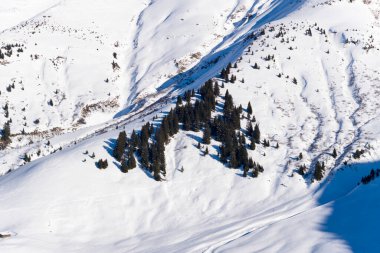 Bir grup koyu yeşil ağaç Mont Joly 'nin yamaçlarındaki el değmemiş beyaz kara karşı duruyor. Kış güneşinin keskin gölgeleri, pürüzsüz hatları ve manzaranın dokunulmamış dokusunu vurgular..