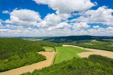 Yoğun ormanlarla çevrili canlı yeşil tarlalar, dağınık kümülüs bulutlarıyla dolu gökyüzünün altındaki uzak tepelere doğru uzanan açık tarım arazileri. Sahne, yaz kırsalının taze ve geniş hissini yakalıyor..