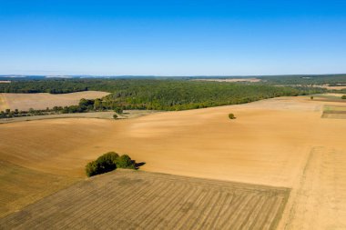 Cuncy les Varzy yakınlarındaki sık yeşil ormanlarla çevrili geniş altın tarlaların geniş hava manzarası. Gıcır gıcır mavi gökyüzü ve orman ile tarım arazileri arasındaki keskin kontrastlar Fransa 'nın orta kesiminde sakin bir kırsal alan oluşturuyor..
