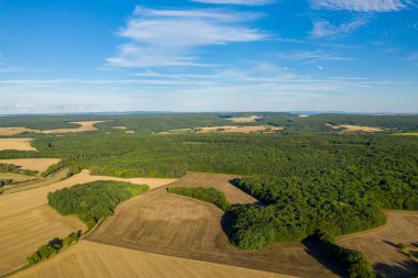 Hava perspektifi, açık mavi gökyüzünün altında toplanan bir mozaik ve yoğun yeşil ormanlık alanı, kırsal Nivernais arazisi boyunca uzanan yuvarlanan tepeleri ortaya çıkarıyor. Sahne zıt dokuları, geometrik şekilleri ve açık olanı vurgular