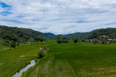 Geniş yeşil pirinç tarlaları orman tepeleri ve dağınık köy evleri ile çevrili kırsal bir vadi boyunca uzanır parlak, parçalı bulutlu bir gökyüzü altında. Manzara, dolambaçlı bir sulama kanalı ve yoğun bitki örtüsü içeriyor.