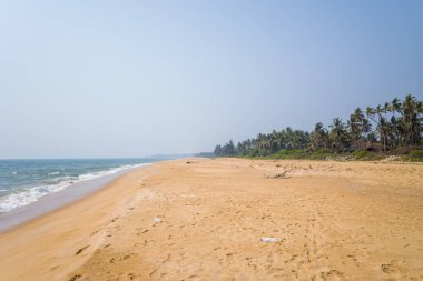 Hindistan 'ın Bekal kentindeki bereketli palmiye ağaçlarıyla kaplı sakin bir sahilde muazzam bir altın kum tabakası yumuşak okyanus dalgalarıyla karşılaşıyor. Açık gökyüzü ve yumuşak güneş ışığı huzurlu ve açık bir atmosfer yaratır..