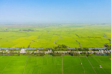 Düz arazi boyunca uzanan geniş yeşil pirinç tarlaları, dolambaçlı sulama kanallarıyla bölünmüş ve berrak mavi gökyüzünün altındaki köy evleriyle sınırlandırılmıştır. Sahne, Vietnamlıların geometrik modellerini ve tarım zenginliğini vurguluyor.