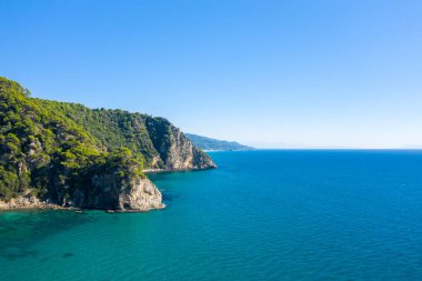 Güneş ışığıyla kaplı bir çam ağacı canlı mavi İyon Denizi 'ne çarpar engebeli kayalıklar uçsuz bucaksız, bulutsuz bir gökyüzünün altında berrak suyla buluşur. Sahne, el değmemiş bir Akdeniz ortamında huzur ve doğal güzelliği yansıtıyor..