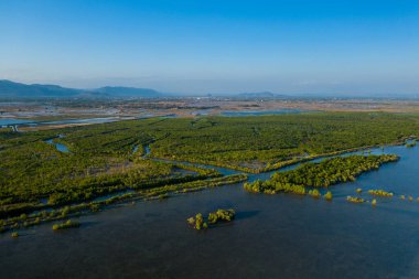 Hava perspektifi Kamboçya Kamboçya yakınlarındaki sık mangrov ormanlarından geçen gelgit kanallarını yakalar. Sahnede yemyeşil, geniş sulak alanlar ve açık mavi gökyüzünün altındaki uzak tepeler yer alıyor. Bölgelerin doğal desenleri vurgulanıyor.