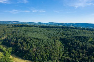 Morvan bölgesindeki yuvarlanan tepeler boyunca uzanan yoğun çam ağaçlarının geniş hava manzarası. Manzara bereketli ve canlı. Kıtır mavi gökyüzünün altında parlak güneş ışığıyla yıkanmış..