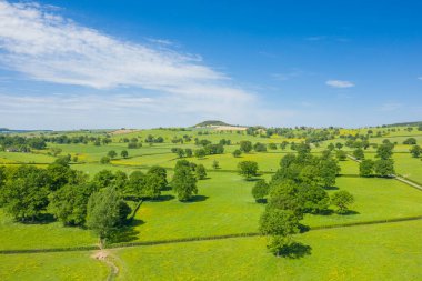 Ağaçlarla benekli yemyeşil çayırlar, Nivernais kırsalında güneşli bir bahar gününde masmavi bir gökyüzünün altında yavaşça yuvarlanıyor..