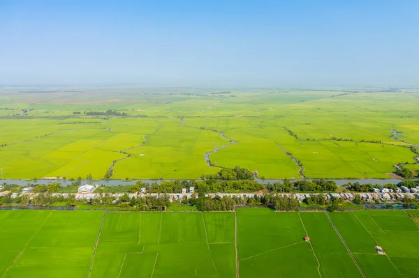 Düz arazi boyunca uzanan geniş yeşil pirinç tarlaları, dolambaçlı sulama kanallarıyla bölünmüş ve berrak mavi gökyüzünün altındaki köy evleriyle sınırlandırılmıştır. Sahne, Vietnamlıların geometrik modellerini ve tarım zenginliğini vurguluyor.