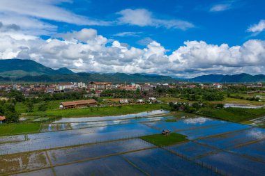 Laos, Vang Vieng 'in canlı bir görüntüsü, önplanda yansıtıcı pirinç tarlaları ve yeşil dağlara karşı inşa edilmiş bir bina kümesi. Kabarık bulutlar parlak mavi gökyüzünü dolduruyor, yağmur mevsimi manzarasını ve kırsal atmosferi vurguluyor..