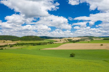 Alternatif yeşil ve altın alanlar, uzak ağaçlık tepeler ve dramatik kümülüs bulutlarıyla dolu bir gökyüzü içeren geniş bir kırsal bölge. Manzara açık ve güneşli. Huzur ve ferahlık hissi uyandırıyor..