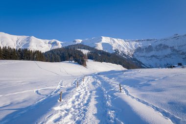 Güneşli bir kış yolu derin karların arasından orman yamaçlarına ve dramatik dağlık tepelere doğru esiyor. Kıtır mavi gökyüzü ve el değmemiş kar parlak, canlandırıcı bir dağ manzarası yaratır..