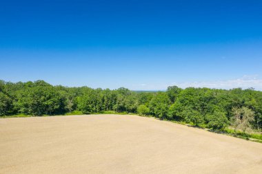 Parlak mavi gökyüzünün altında, yoğun yeşil bir ormanla buluşan, güneşli, altın bir tahıl tarlasının geniş bir görüntüsü. Manzara açık, parlak ve zıt dokularla dolu..