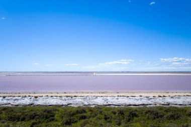 Camargue 'de pembe tuz gölü manzarası, beyaz mineral yatakları ve yeşil bataklık bitki örtüsüyle çevrili, parlak, mavi çizgili bir gökyüzü altında. Sahne açık ve parlak, eşsiz renkleri ve doğal dokuları vurguluyor..