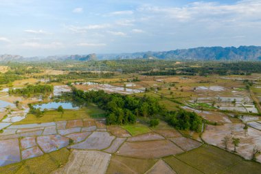 Havadan bakıldığında, Laos kırsalındaki sel basmış pirinç tarlaları ve küçük göletler arasında yeşil ağaç kümeleri olduğu görülüyor. Manzara, uzak kireçtaşı tepeleri ve geniş mavi gökyüzü tarafından çerçevelenmiştir.