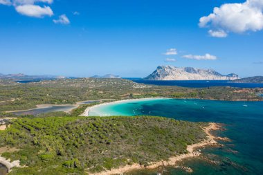Sardinya 'daki Cala Brandinchi' nin zümrüt suyu, beyaz kumlu kıyı şeridi, yemyeşil çam ormanı ve parlak mavi gökyüzünün altında yükselen dramatik bir ada..