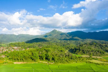 Yoğun yeşil ormanın yanında yuva yapmış küçük bir Vietnam köyünün havadan görünüşü ön planda canlı pirinç tarlaları ve dağınık mavi bulutların altında dramatik dağ zirveleri..
