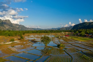 Sel basmış pirinç tarlalarının hava manzarası, temiz mavi bir gökyüzünün altında yükselen engebeli kireçtaşı dağları ile küçük bir köy ve yoğun yeşil ormanla sınırlıdır. Sıcak akşam güneşi geometrik desenleri ve sükuneti vurgular