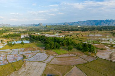 Havadan bakıldığında, Laos kırsalında sel basmış pirinç tarlaları, küçük havuzlar ve yeşil ağaçlar mozaiği ortaya çıkıyor. Uzak kireçtaşı tepeleri ve geniş mavi bir gökyüzü huzurlu tarım manzarasını çerçeveleyerek, doğal desenleri ve kırsal kesimleri vurguluyor.