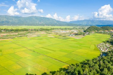Geniş bir vadi boyunca uzanan çeşitli yeşil tarlalarda canlı pirinç tarlalarının hava perspektifi, küçük bir köy ve Dien Bien Phu yakınlarında açık mavi bir gökyüzü altında uzak dağlar. Güneş ışığı ve dağınık bulutlar parlak bir bulut yaratır.