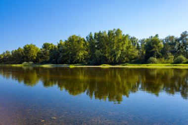 Berrak mavi gökyüzünün altında Loire Nehri 'nin sakin yüzeyinde yansıtılan yemyeşil ağaçlardan oluşan sıra, kıyı şeridini aydınlatan canlı yaz ışığıyla aydınlandı. Huzurlu sahne, merkezi Imphy yakınlarındaki doğal yansımaları ve huzurlu manzarayı yakalar.