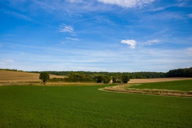 Dolambaçlı kırsal bir patika yemyeşil bir çayırı altın hasat edilmiş tarlalardan ayırır, yoğun ormanlık alan geniş mavi bir gökyüzünün altında zemin oluşturur. Açık kırsal kesimde doğal desenler, yumuşak dokular ve geniş bir sakinlik hissi ön plana çıkıyor.