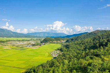 Canlı yeşil pirinç tarlaları, orman tepeleri ve Dien Bien Phu yakınlarındaki uzak mavi dağlar arasında yuva yapmış. Parlak güneş ışığı ve dağınık bulutlar yeni ve açık bir kırsal alan yaratır..