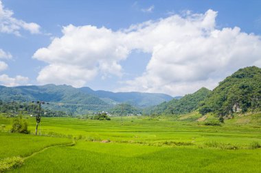Geniş pirinç tarlaları yemyeşil tepeleri ve Kuzey Vietnam 'daki açık mavi gökyüzünün altındaki uzak dağları olan yemyeşil bir vadi boyunca uzanıyor. Manzara güneşli ve sakin, yumuşak bulutlar ve canlı yeşilliklerle.