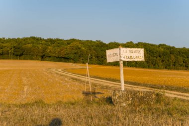 Eski bir yön işareti, toplanan altın tarım arazisiyle çevrili ve Fransa 'nın orta kesimindeki açık mavi gökyüzünün altında sık ağaçlıklarla çevrili dolambaçlı toprak bir yolun kenarında duruyor. Kır manzarası, dünyanın dokusunu ve basitliğini vurgular.