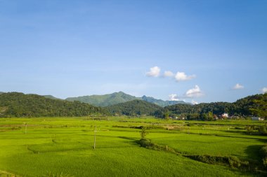 Kuzey Vietnam 'da açık mavi bir gökyüzünün altında yemyeşil orman tepelerine ve uzak dağlara uzanan parlak yeşil pirinç tarlalarının geniş manzarası. Manzara, dağınık bulutlar ve huzurlu kırsal atmosferle güneşli ve huzurlu..