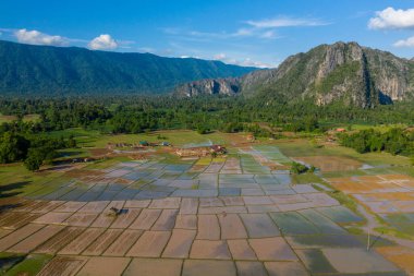 Sel basmış pirinç tarlalarının, kırsal alanda dramatik kireçtaşı uçurumlarına ve açık mavi gökyüzünün altındaki yoğun yeşil ormana karşı geometrik bir mozaik oluşturması. Sahne katmanlı dokuları ve tipik açık atmosferi vurgular