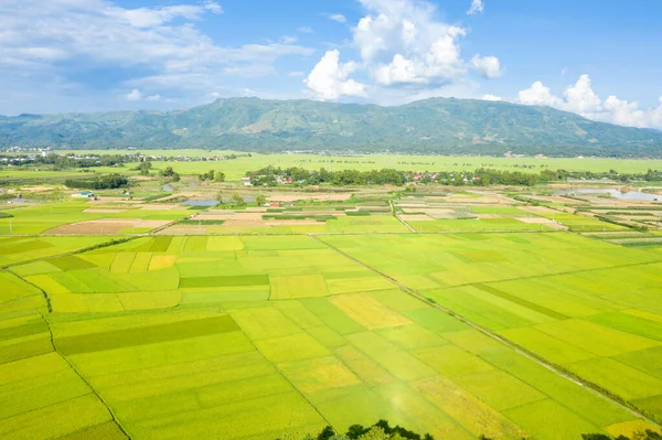 Dien Bien Phu yakınlarındaki bir dağ sırası ve mavi gökyüzü ile kırsal bir köye doğru uzanan yeşil ve altın tonlarında geometrik pirinç tarlalarının parlak hava manzarası. Güneş ışığı ve dağınık bulutlar canlı ve sakin bir kırsal bölge yaratır.
