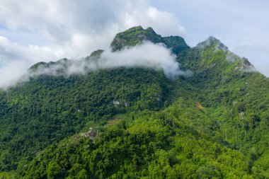Kuzey Laos 'taki sarp yeşil dağları kaplayan yoğun tropikal ormanda beyaz sis örüyor. Canlı yapraklar ve dramatik bulut katmanı yumuşak gün ışığı altında desenli bir manzara yaratır..