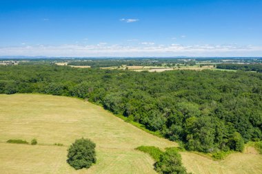 Açık mavi gökyüzü altında uzak yama alanları ile kalın yeşil ormanlık ile çevrili geniş güneşli bir çayırın hava manzarası. Manzara açık, taze ve sakin, kırsal dokuları sergiliyor..
