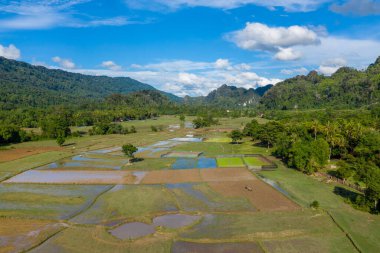 Patchwork pirinç tarlaları, bereketli ağaçlar ve kırsal Güneydoğu Asya 'da kayan tepelerle çevrili, parlak mavi bir gökyüzünün altında suyla parıldıyor. Sahnede canlı yeşil bitki örtüsü, dağınık ağaçlar ve orman kireçtaşı tepeleri yer alıyor.