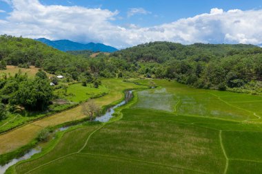 Kıvrımlı su kanalları, açık mavi gökyüzünün altındaki orman tepeleriyle çevrili yemyeşil pirinç tarlalarını böler. Manzara, yazın kırsal Laos kırsalının katmanlı dokularını ve sakin atmosferini yakalar..