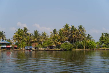 Hindistan, Alappuzha 'nın sakin suları boyunca uzanan küçük sahil binaları palmiye ağaçları ve canlı yeşilliklerle çevrilidir. Yumuşak güneş ışığı ve mavi gökyüzü barışçıl bir tropikal hava yaratır..