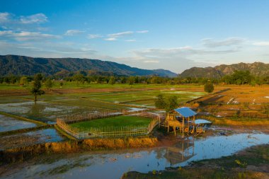 Geleneksel ahşap barınak, temiz mavi gökyüzünün altında yansıtıcı su yüzeyleri ve uzak orman tepeleriyle Güneydoğu Asya 'da pirinç tarlalarını sular altında bıraktı. Manzara doğal dokular, geometrik alan bölümleri ve