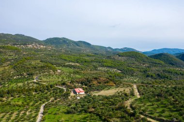 Rum kırsalındaki yeşil tepeler boyunca uzanan yemyeşil zeytin koruluklarının ve dolambaçlı kırsal yolların geniş hava perspektifi. Uzak köy ve ormanlık yamaçlar berrak bir gökyüzünün altında sakin bir Akdeniz manzarası yaratır..