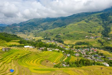 Vietnam 'daki Sapa' nın yemyeşil vadisinde yer alan kırsal bir köyün etrafında parlak yeşil ve altın pirinç terasları kıvrılır. Dramatik bulut örtüsü ve katmanlı dağlar doğal güzelliklerle dolu dinamik, dokulu bir manzara yaratır..
