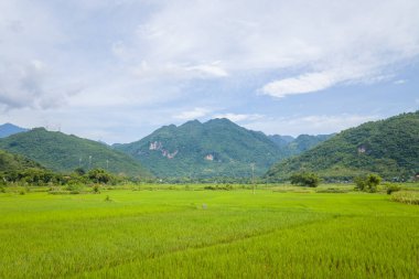 Expansive rice paddies stretch across a lush valley with rolling green mountains in the background beneath a bright, partly cloudy sky in Mai Chau.