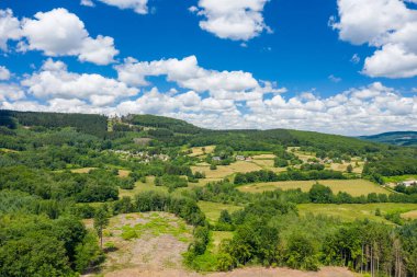 Yeşil tarlaları, dağınık ağaçları ve gür bir ormanın altında kabarık beyaz bulutlarla dolu canlı bir gökyüzünün altındaki yuvarlanan kırsal manzara. Manzara, açık çayırlar ve ormanlık alanların bir karışımını içeriyor. Huzurlu bir kırsal manzara yaratıyor..