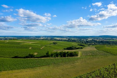 Bereketli yeşil üzüm bağları Pouilly sur Loire 'da dağınık bulutlarla canlı mavi bir gökyüzünün altında yavaşça akan tepeleri kaplıyor. Manzara güneşli, ferah ve sakin kırsal bir cazibe yayıyor..