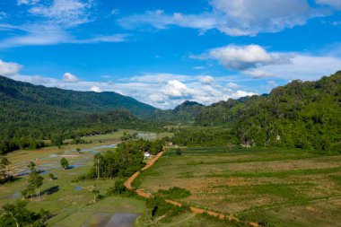 Geniş pirinç tarlaları, bereketli bir kırsal boyunca uzanan dolambaçlı toprak bir yol ile çevrili, orman tepeleri ve canlı mavi bir gökyüzü altında kireçtaşı çıkıntıları ile çevrili. Manzarada dağınık ağaçlar, yansıtıcı su yüzeyleri ve sakin bir yer vardır.