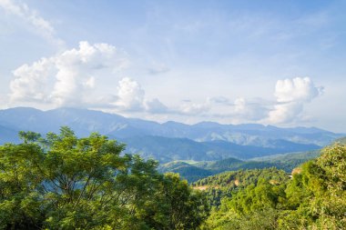 Yuvarlanan yeşil tepeler ve sık orman Kuzey Vietnam 'da dalgalanan beyaz bulutlarla dolu bir gökyüzünün altındaki uzak mavi dağ sıralarına doğru uzanıyor. Güneş ışığı gür dokuları güçlendirir ve sakin, geniş bir ruh hali yaratır..
