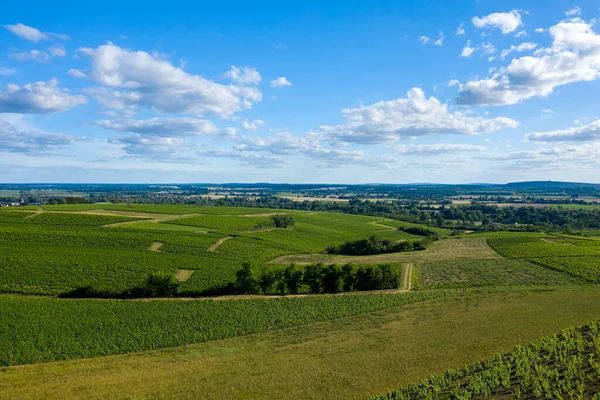 Bereketli yeşil üzüm bağları Pouilly sur Loire 'da dağınık bulutlarla canlı mavi bir gökyüzünün altında yavaşça akan tepeleri kaplıyor. Manzara güneşli, ferah ve sakin kırsal bir cazibe yayıyor..