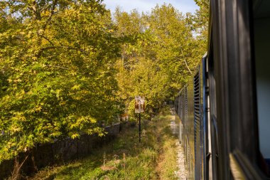 Yunanistan 'ın Kalavrita kenti yakınlarında, altın sonbahar yaprakları bulunan sık ağaçlar arasında dar çaplı bir tren seyahat ediyor. Güneş ışığı yapraklı gölgeliklerden süzülerek kırsal demiryolunu ve doğal manzarayı vurguluyor..